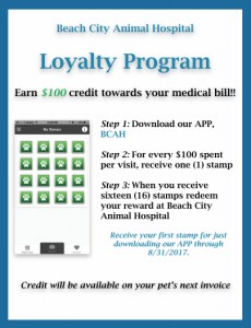 loyalty program