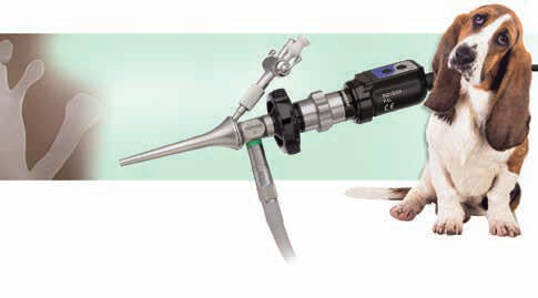 Otoscopy in Huntington Beach Otoscopy in Huntington Beach